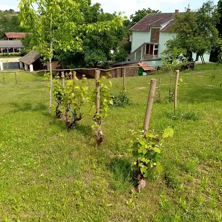 Reset Krusedol
